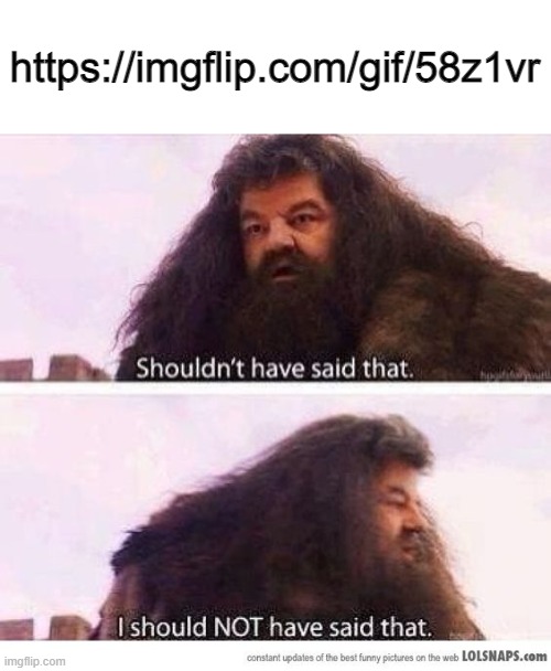 You all would know why | https://imgflip.com/gif/58z1vr | image tagged in i shouldn't have said that | made w/ Imgflip meme maker