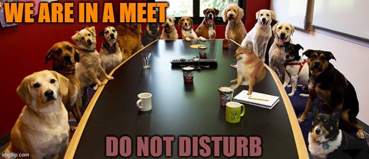 we are in meet | WE ARE IN A MEET; DO NOT DISTURB | image tagged in dog meeting | made w/ Imgflip meme maker