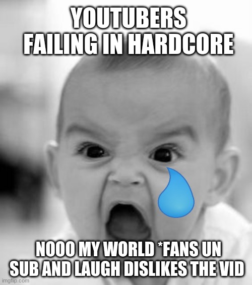 Youtubers in hardcore!~ | YOUTUBERS FAILING IN HARDCORE; NOOO MY WORLD *FANS UN SUB AND LAUGH DISLIKES THE VID | image tagged in memes,angry baby | made w/ Imgflip meme maker