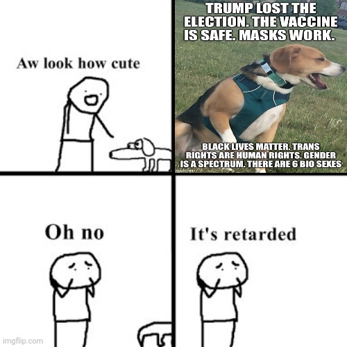 a meme pulled directly from the politics stream | image tagged in oh no its retarted | made w/ Imgflip meme maker