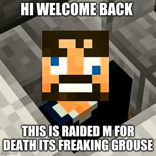 Ssundee | HI WELCOME BACK; THIS IS RAIDED M FOR DEATH ITS FREAKING GROUSE | image tagged in ssundee | made w/ Imgflip meme maker