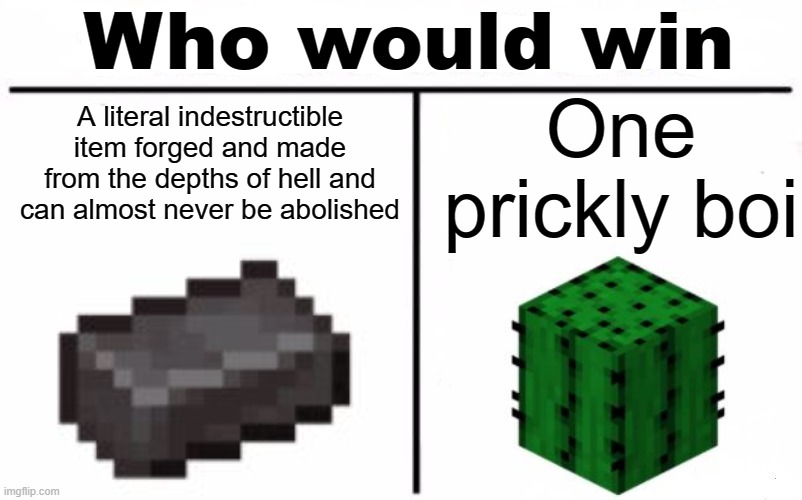 Who Would Win Blank | Who would win; A literal indestructible item forged and made from the depths of hell and can almost never be abolished; One prickly boi | image tagged in who would win blank | made w/ Imgflip meme maker