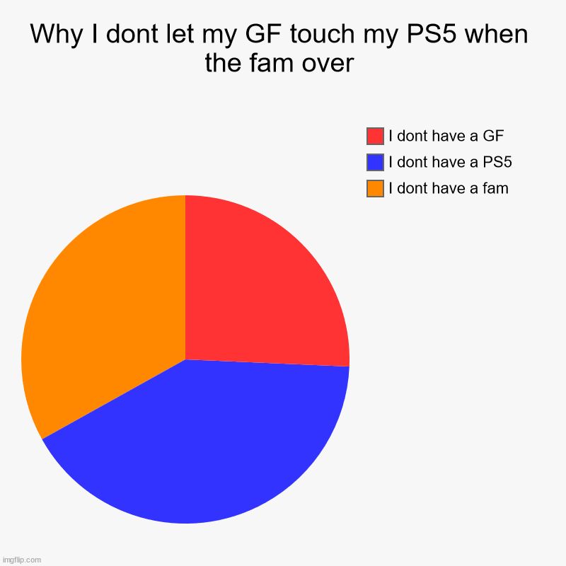 Why I dont let my GF touch my PS5 when the fam over | I dont have a fam, I dont have a PS5, I dont have a GF | image tagged in charts,pie charts | made w/ Imgflip chart maker