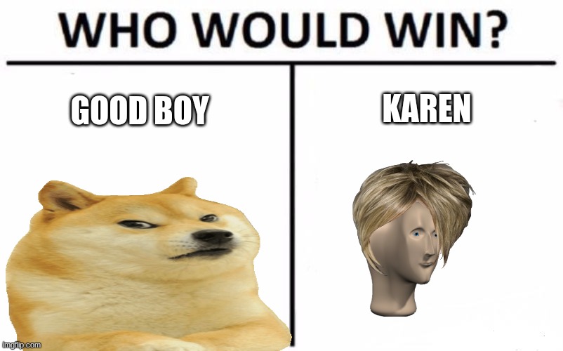 Who would win? | KAREN; GOOD BOY | image tagged in karen,multi doge | made w/ Imgflip meme maker