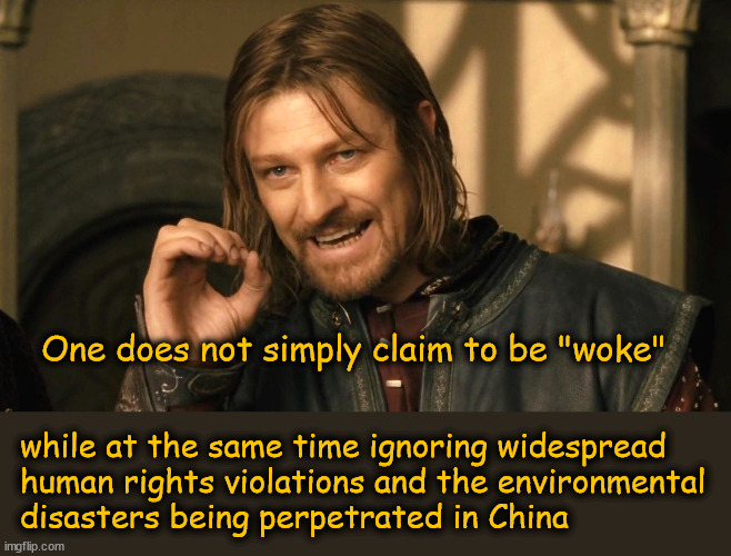 On human rights violations and environmental disasters in China | One does not simply claim to be "woke"; while at the same time ignoring widespread
human rights violations and the environmental
disasters being perpetrated in China | image tagged in boromir one does not simply | made w/ Imgflip meme maker
