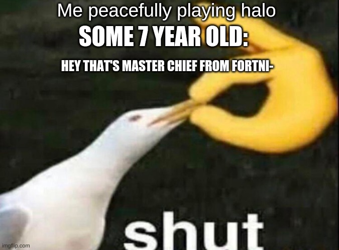 Kids thees days |  Me peacefully playing halo; SOME 7 YEAR OLD:; HEY THAT'S MASTER CHIEF FROM FORTNI- | image tagged in shut,bruh | made w/ Imgflip meme maker