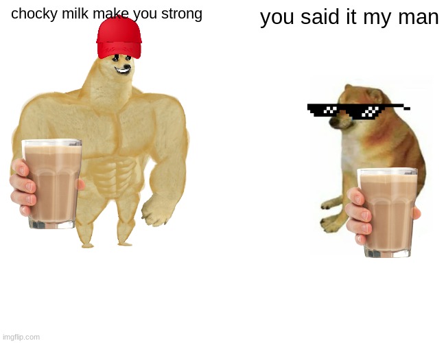 choccy milk make you strong | chocky milk make you strong; you said it my man | image tagged in memes,buff doge vs cheems | made w/ Imgflip meme maker