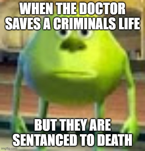 Sully Wazowski | WHEN THE DOCTOR SAVES A CRIMINALS LIFE; BUT THEY ARE SENTANCED TO DEATH | image tagged in sully wazowski | made w/ Imgflip meme maker