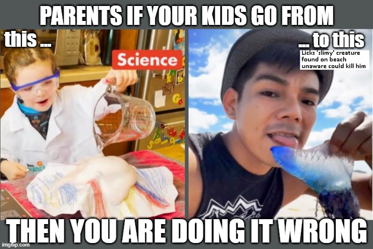 Parents, doing it wrong | PARENTS IF YOUR KIDS GO FROM; this ... ... to this; THEN YOU ARE DOING IT WRONG | image tagged in parents,tiktok,darwin | made w/ Imgflip meme maker