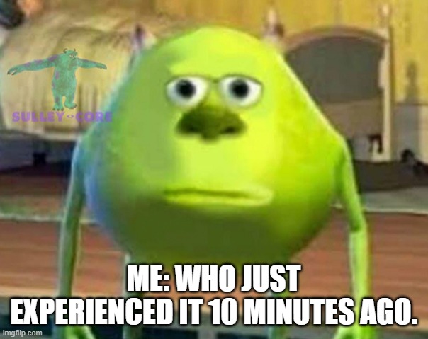 Monsters Inc | ME: WHO JUST EXPERIENCED IT 10 MINUTES AGO. | image tagged in monsters inc | made w/ Imgflip meme maker