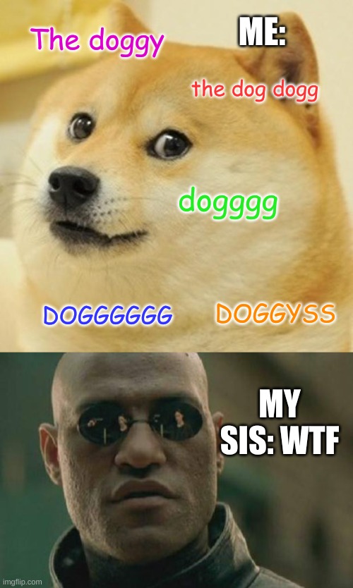 Me | ME:; The doggy; the dog dogg; dogggg; DOGGYSS; DOGGGGGG; MY SIS: WTF | image tagged in memes,doge,matrix morpheus | made w/ Imgflip meme maker