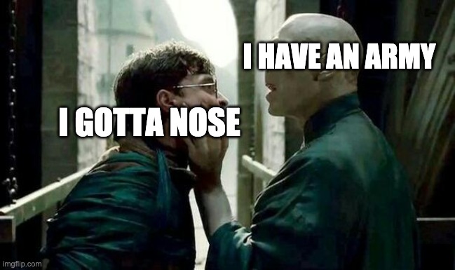 sniff | I HAVE AN ARMY; I GOTTA NOSE | image tagged in voldemort and harry | made w/ Imgflip meme maker