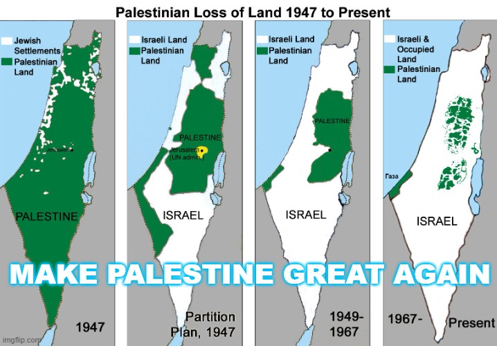MAKE PALESTINE GREAT AGAIN | MAKE PALESTINE GREAT AGAIN | image tagged in palestine | made w/ Imgflip meme maker