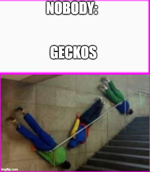 horsez | NOBODY:; GECKOS | image tagged in fun,lol so funny,lol,funny,to funny,nobody | made w/ Imgflip meme maker