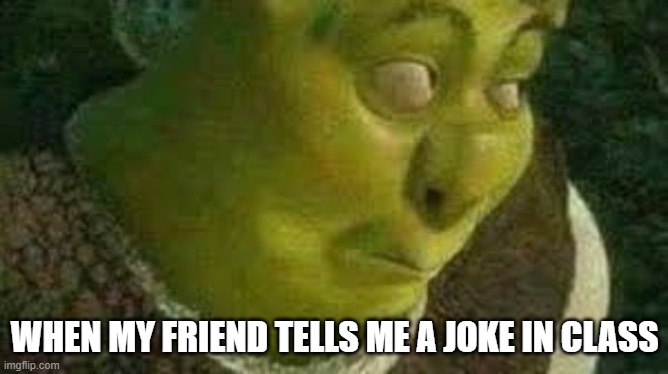 He | WHEN MY FRIEND TELLS ME A JOKE IN CLASS | image tagged in shrek | made w/ Imgflip meme maker