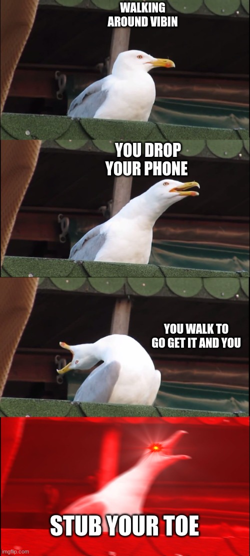 AGHgHHhHHhgh | WALKING AROUND VIBIN; YOU DROP YOUR PHONE; YOU WALK TO GO GET IT AND YOU; STUB YOUR TOE | image tagged in memes,inhaling seagull | made w/ Imgflip meme maker