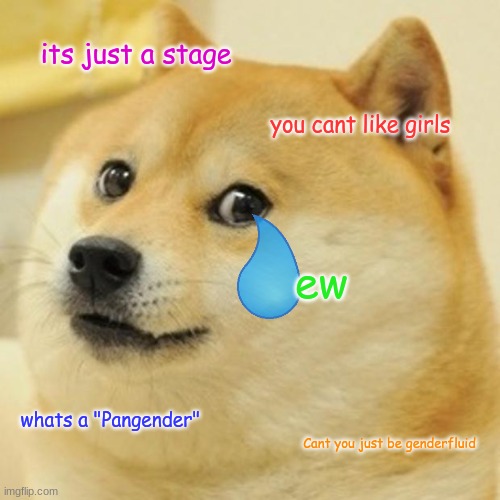 Doge Meme | its just a stage; you cant like girls; ew; whats a "Pangender"; Cant you just be genderfluid | image tagged in memes,doge | made w/ Imgflip meme maker