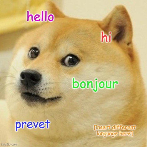 Doge Meme | hello; hi; bonjour; prevet; [insert different language here] | image tagged in memes,doge | made w/ Imgflip meme maker