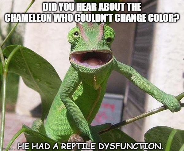 Daily Bad Dad Joke May 11 2021 | DID YOU HEAR ABOUT THE CHAMELEON WHO COULDN'T CHANGE COLOR? HE HAD A REPTILE DYSFUNCTION. | image tagged in crazy chameleon | made w/ Imgflip meme maker