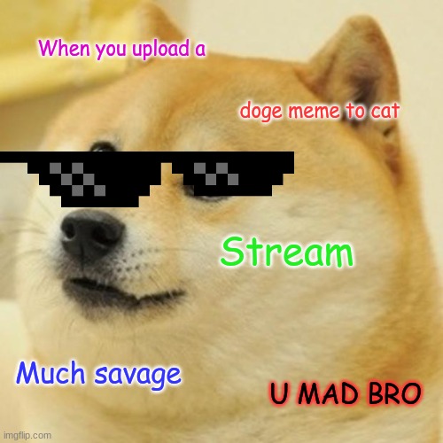 :) | When you upload a; doge meme to cat; Stream; Much savage; U MAD BRO | image tagged in memes,doge | made w/ Imgflip meme maker