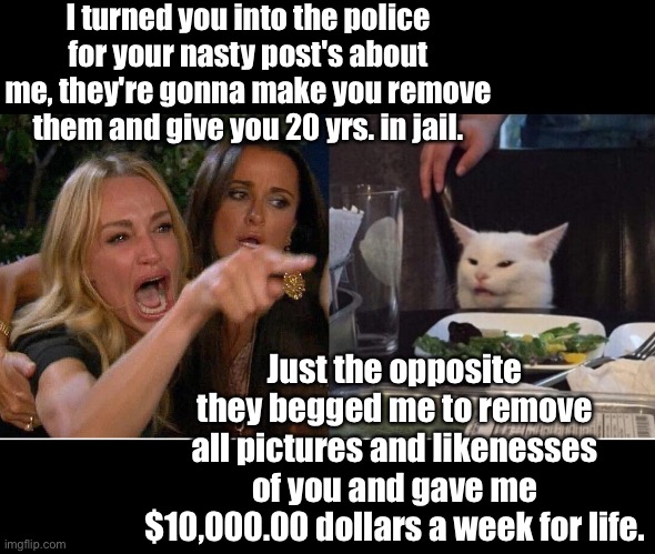 Woman yelling at cat | I turned you into the police for your nasty post's about me, they're gonna make you remove them and give you 20 yrs. in jail. Just the opposite they begged me to remove all pictures and likenesses of you and gave me $10,000.00 dollars a week for life. | image tagged in salad cat | made w/ Imgflip meme maker