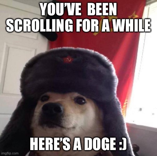 I hope you have great day | YOU’VE  BEEN SCROLLING FOR A WHILE; HERE’S A DOGE :) | image tagged in russian doge,lol,not stonks,stop reading these tags,have a nice day,memes | made w/ Imgflip meme maker