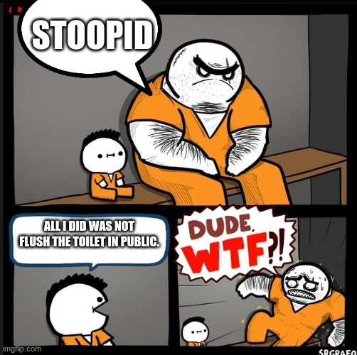 wtf | STOOPID; ALL I DID WAS NOT FLUSH THE TOILET IN PUBLIC. | image tagged in srgrafo dude wtf | made w/ Imgflip meme maker