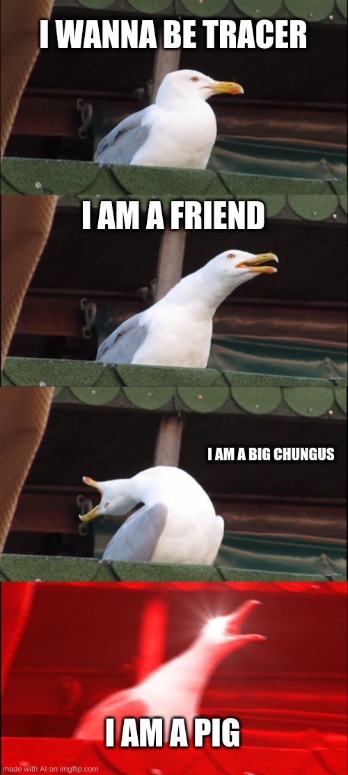 Ok? | I WANNA BE TRACER; I AM A FRIEND; I AM A BIG CHUNGUS; I AM A PIG | image tagged in memes,inhaling seagull | made w/ Imgflip meme maker