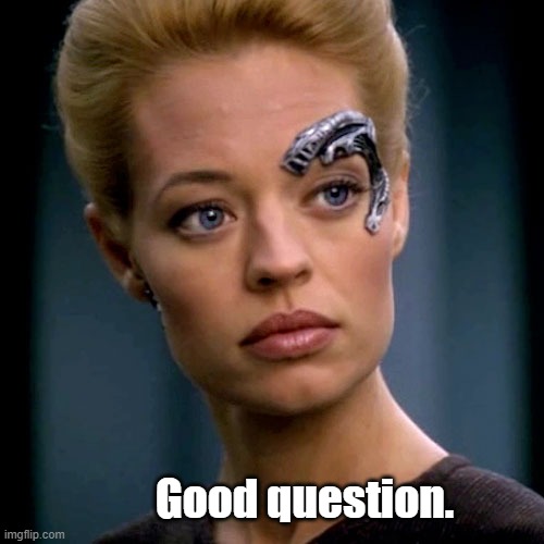 Seven of Nine Serious | Good question. | image tagged in seven of nine serious | made w/ Imgflip meme maker