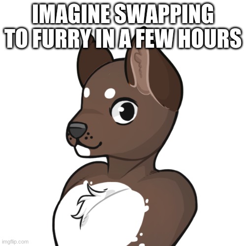 HOTDOG FRENCHFRY | IMAGINE SWAPPING TO FURRY IN A FEW HOURS | made w/ Imgflip meme maker