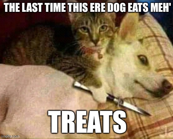 Get a good hold of the knife whiskers |  THE LAST TIME THIS ERE DOG EATS MEH'; TREATS | image tagged in cat holds dog hostage | made w/ Imgflip meme maker