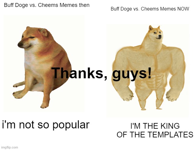 Thank you for the support! :D | Buff Doge vs. Cheems Memes then; Buff Doge vs. Cheems Memes NOW; Thanks, guys! i'm not so popular; I'M THE KING OF THE TEMPLATES | image tagged in memes,buff doge vs cheems | made w/ Imgflip meme maker