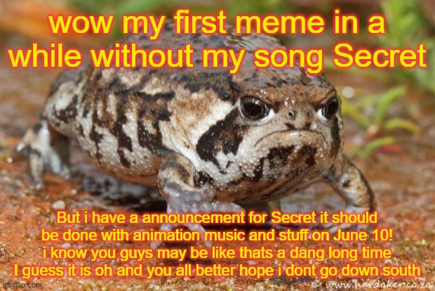 secret | wow my first meme in a while without my song Secret; But i have a announcement for Secret it should be done with animation music and stuff on June 10! i know you guys may be like thats a dang long time I guess it is oh and you all better hope i dont go down south | image tagged in memes,grumpy toad | made w/ Imgflip meme maker