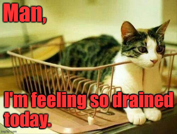 Man, I'm feeling so drained
today. | image tagged in eyeroll | made w/ Imgflip meme maker