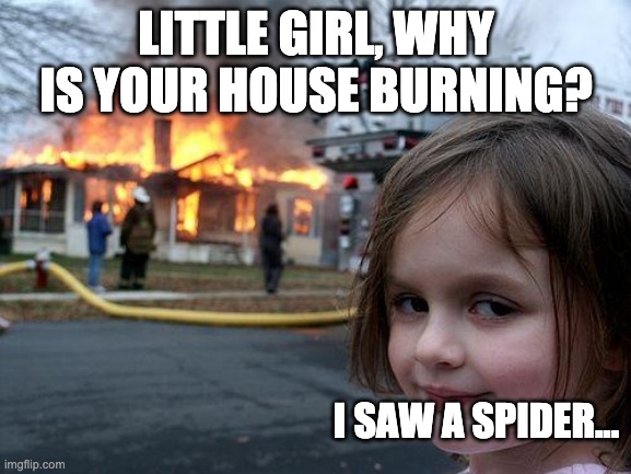 i saw a spider... | LITTLE GIRL, WHY IS YOUR HOUSE BURNING? I SAW A SPIDER... | image tagged in memes,disaster girl | made w/ Imgflip meme maker