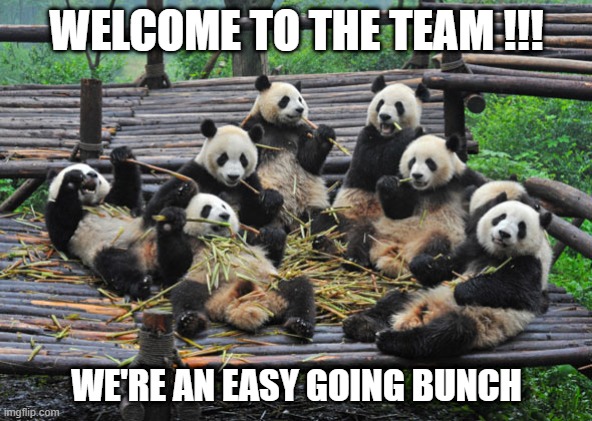 Welcome to the team | WELCOME TO THE TEAM !!! WE'RE AN EASY GOING BUNCH | image tagged in panda group | made w/ Imgflip meme maker