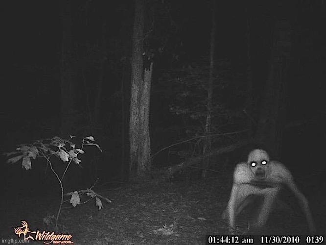 Yay, the rake | made w/ Imgflip meme maker