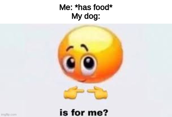 Is for me | Me: *has food*
My dog: | image tagged in is for me | made w/ Imgflip meme maker