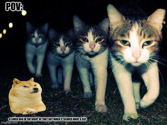 Wrong Neighboorhood Cats | POV:; A LONER DOG IN THE NIGHT OF THAT DAY WHEN IT SCARED AWAY A CAT. | image tagged in memes,warrior cats,reservoir dogs | made w/ Imgflip meme maker