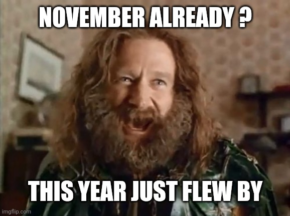 What Year Is It Meme | NOVEMBER ALREADY ? THIS YEAR JUST FLEW BY | image tagged in memes,what year is it | made w/ Imgflip meme maker