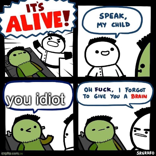 what ha | you idiot | image tagged in i forgot to give you a brain | made w/ Imgflip meme maker