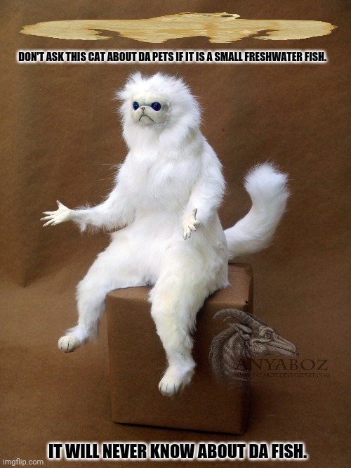 Persian Cat Room Guardian Single |  DON'T ASK THIS CAT ABOUT DA PETS IF IT IS A SMALL FRESHWATER FISH. IT WILL NEVER KNOW ABOUT DA FISH. | image tagged in memes,persian cat room guardian,x | made w/ Imgflip meme maker