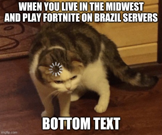 Lag Cat | WHEN YOU LIVE IN THE MIDWEST AND PLAY FORTNITE ON BRAZIL SERVERS; BOTTOM TEXT | image tagged in lag cat | made w/ Imgflip meme maker