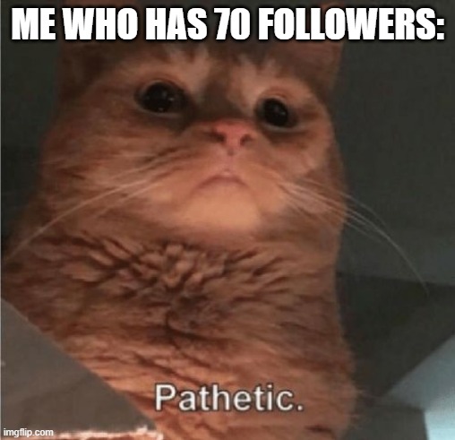 Pathetic Cat | ME WHO HAS 70 FOLLOWERS: | image tagged in pathetic cat | made w/ Imgflip meme maker