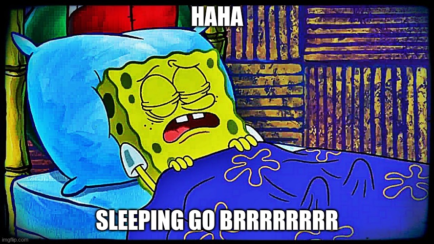 HAHA SLEEPING GO BRRRRRRRR | made w/ Imgflip meme maker