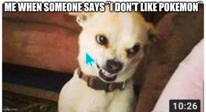 POKEMON!!!!!!!!!!!!! | ME WHEN SOMEONE SAYS ¨I DON'T LIKE POKEMON¨ | image tagged in angry dog | made w/ Imgflip meme maker