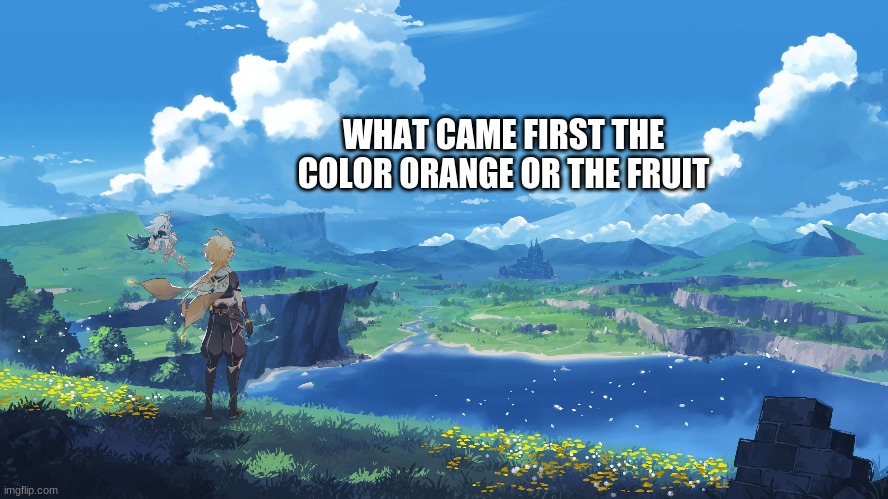 MEME | WHAT CAME FIRST THE COLOR ORANGE OR THE FRUIT | image tagged in meme | made w/ Imgflip meme maker