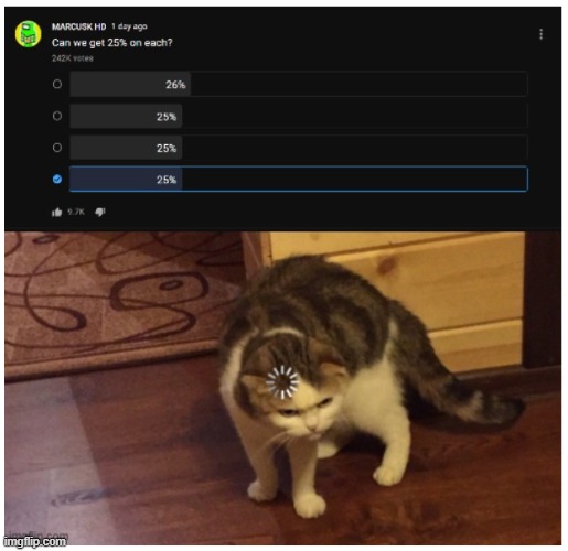 umm... | image tagged in loading cat,youtube | made w/ Imgflip meme maker