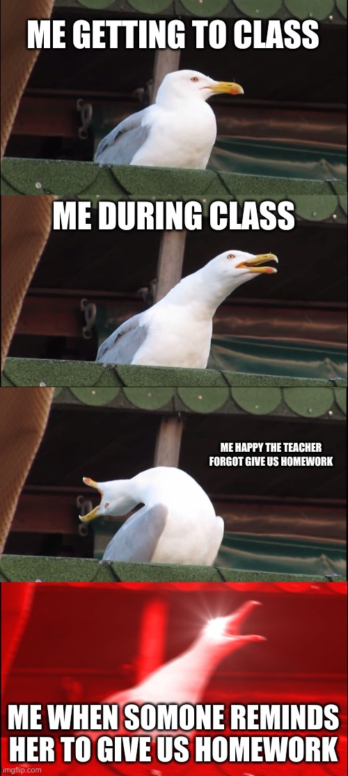 Inhaling Seagull Meme | ME GETTING TO CLASS; ME DURING CLASS; ME HAPPY THE TEACHER FORGOT GIVE US HOMEWORK; ME WHEN SOMONE REMINDS HER TO GIVE US HOMEWORK | image tagged in memes,inhaling seagull | made w/ Imgflip meme maker