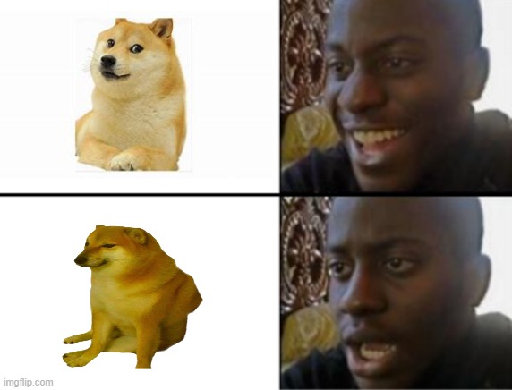 Just tell me in comments if I'm wrong lol | image tagged in oh yeah oh no,doge | made w/ Imgflip meme maker